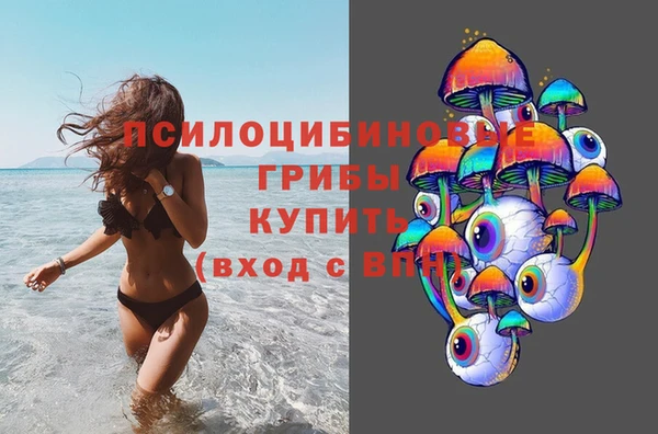 соль ск Балахна