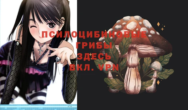 соль ск Балахна