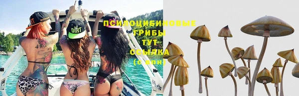соль ск Балахна
