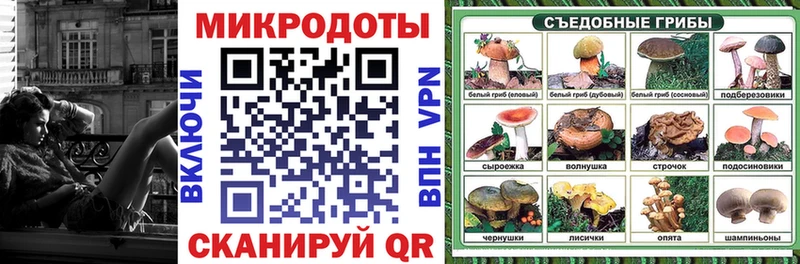 blacksprut как войти  Юрьевец  Псилоцибиновые грибы Cubensis  купить наркотики цена 